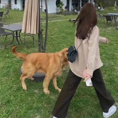 父亲的谎言